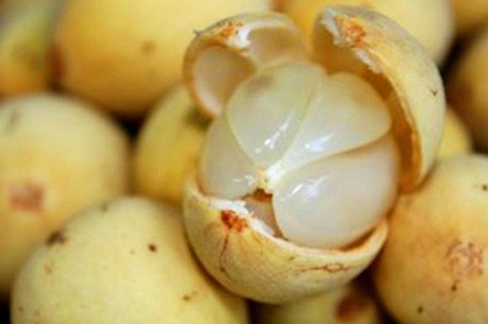 Manfaat buah duku untuk kesehatan Tubuh