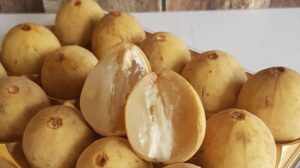 Manfaat buah duku untuk kesehatan Tubuh