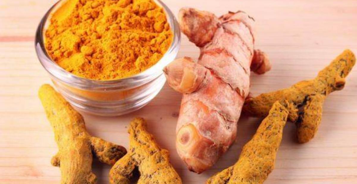 manfaat temulawak bagi kesehatan