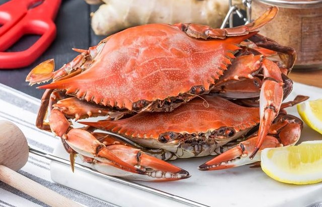 Manfaat Mengkonsumsi Kepiting bagi Tubuh