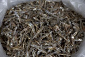 Manfaat Ikan Teri Yang Jarang Diketahui Buat Kesehatan Tubuh