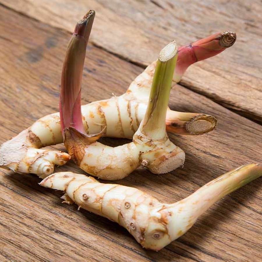 Manfaat Yang Diberikan Dari Rempah-Rempah Seperti Lengkuas